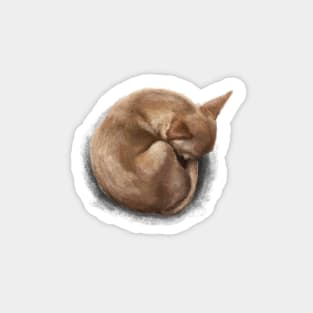 The Sleeping Chihuahua Sticker
